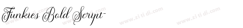 Funkies Bold Script字体转换 Funkies Bold Script字体转换